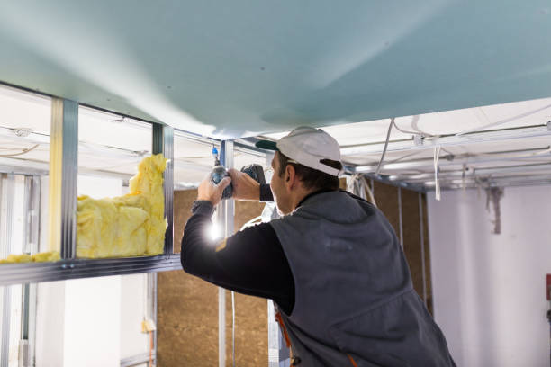 Insulation Repair Services in Willow Oak, FL